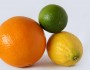 5 Foods That Help You Lose Weight