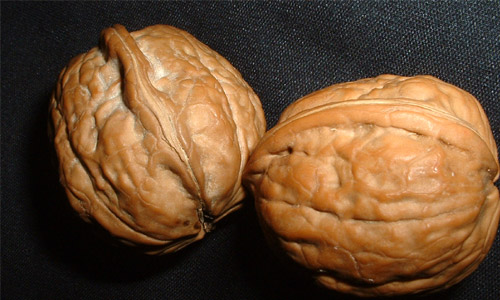 Walnuts