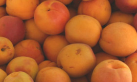 5 Fruits That Make Your Skin Glow