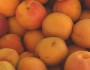 5 Fruits That Make Your Skin Glow