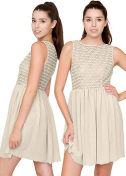 ‘American Apparel’ Lace Chiffon Dress