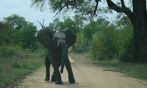 W National Park (West Africa)