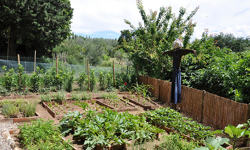 Follow These Great Tips To Keep Your Vegetable Garden Flourishing