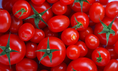 Tomatoes