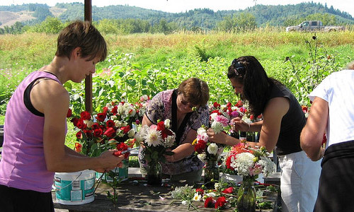 Flower Arranging