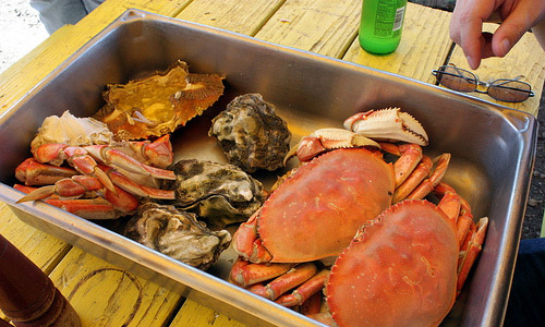 Crabs or Oysters