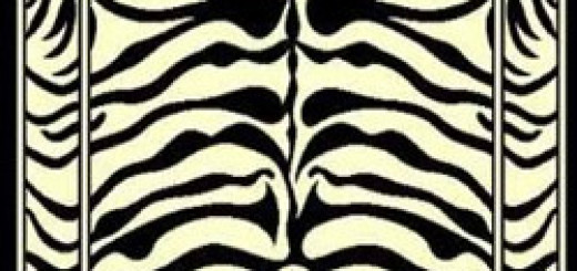 5-budget-rugs-to-spice-up-your-home-zebra-rug