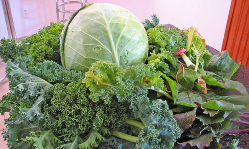 Make Green Vegetables A Part Of Your Daily Diet
