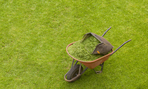 12 Garden Care Tips You Must Try Out