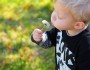8 Fun Activities For Your Toddler