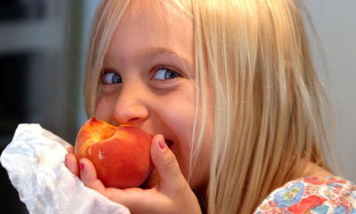 10 Healthy Snacks For Kids