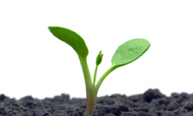 10 Articles You Must Read On World Environment Day
