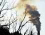 How Does Pollution Affect Your Hair And Skin?