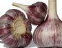 9 Health Benefits of Garlic