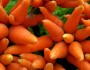 5 Health Benefits of Carrots