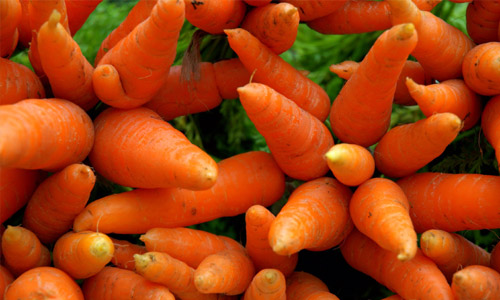 5 Health Benefits of Carrots