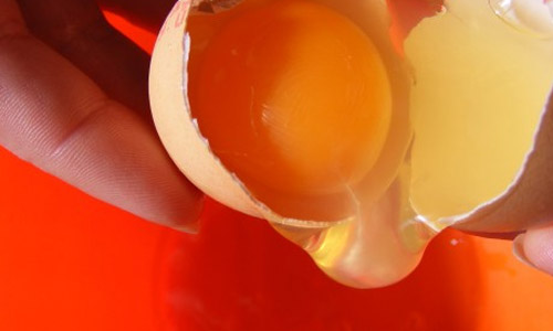 8 Benefits of Egg Yolk