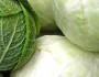 8 Health Benefits of Cabbage