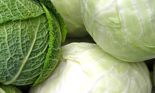 8 Health Benefits of Cabbage