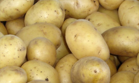 health-benefits-of-potatoes