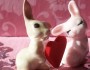 8 Valentine's Day Gifts for Girls