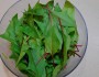 Top 9 Health Benefits of Spinach