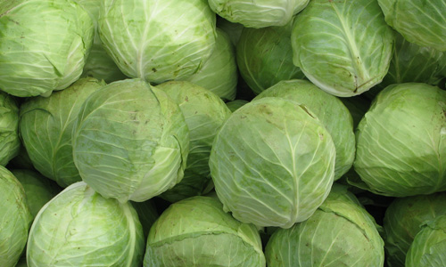 6 Benefits of Cabbage