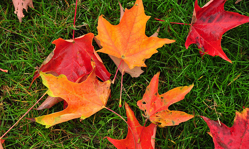 8 Things We Love about Fall