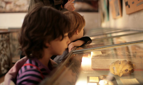 Reasons You Should Take Your Kids to The Museum 