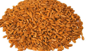 6 Foods Mothers to Be Should Eat