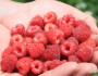 5 Ways Antioxidants Can Work Wonders for Your Skin