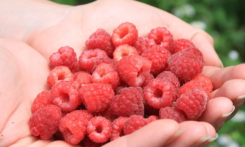5 Ways Antioxidants Can Work Wonders for Your Skin