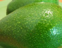 9 Belly Fat Burning Foods