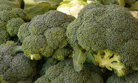 7 Foods to Help You Build Lean Muscle
