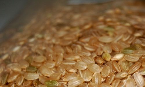 8 Benefits of Eating Brown Rice