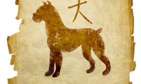Things-to-know-about-the-Chinese-Zodiac-Sign-Dog