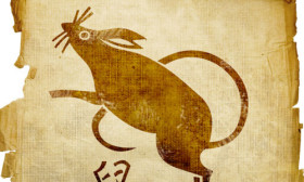 tThings-to-know-about-the-chinese-zodiac-sign-rat