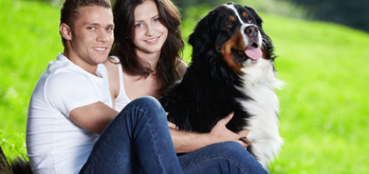 ways-to-convince-your-husband-to-get-a-dog
