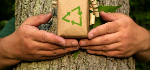 eco-friendly-Christmas-gift-ideas