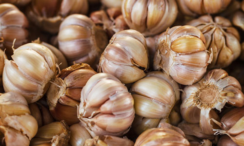 Benefits of Garlic Supplements