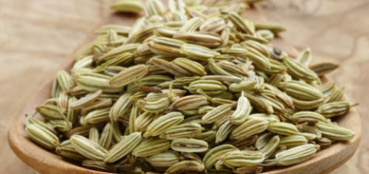 health-benefits-of-fennel