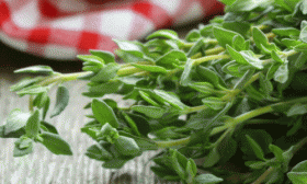 health-benefits-of-thyme