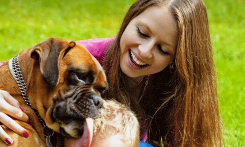 Ways to Keep Your Pet Dog Healthy