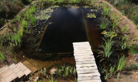 This Is A Real Swimming Pool In Someone’s Backyard, Can You Believe It?