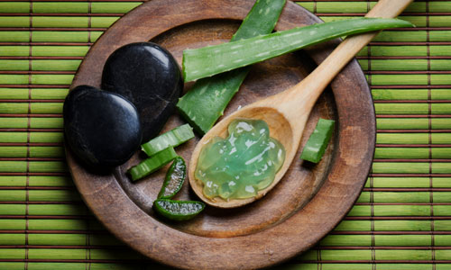 Ways Aloe Vera Helps You to Lose Weight