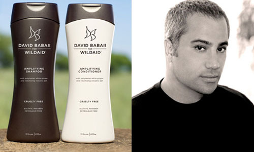 Awesome Facts about Celebrity Hair Stylist David Babaii