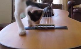 Kittens-Check-Out-A-Guitar