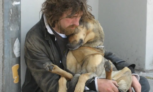 This Is Why God Made A Dog. A Must Watch For Every Dog Lover.