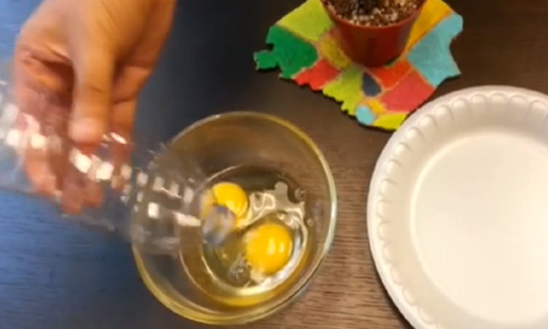 Separating-Egg