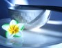 Do's And Don'ts Of Crockery Care
